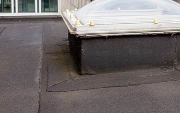 disadvantages of Newton Underwood flat roofs
