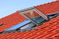 Newton Underwood roof window